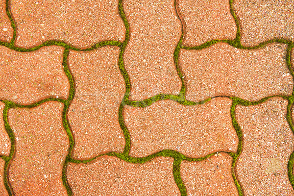 Cobblestone pavement in between - green moss  Stock photo © Geribody
