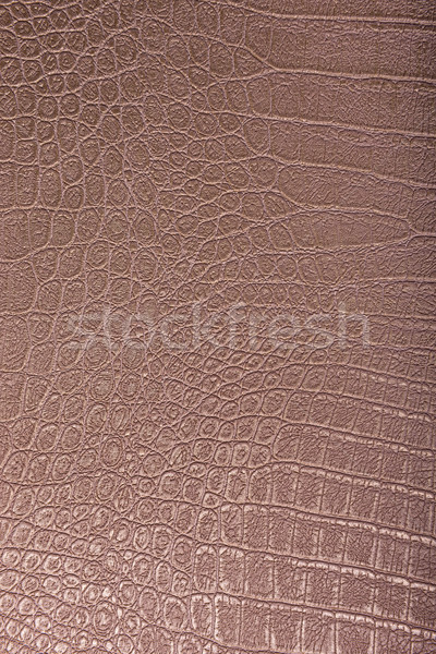 Stock fotó: Krokodil · bőr · bőr · bronz · textúra · absztrakt