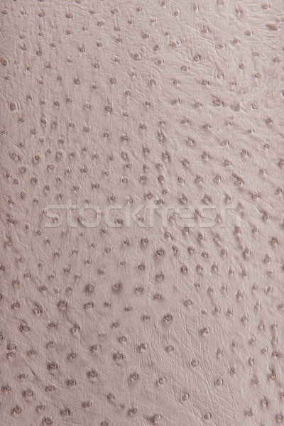 Beige heldere luipaard patroon imitatie textuur Stockfoto © Geribody