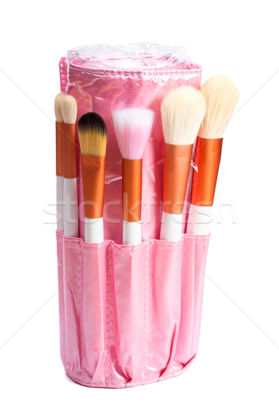 粉紅色 化妝刷 集 美女 黑色 顏色 商業照片 © Geribody