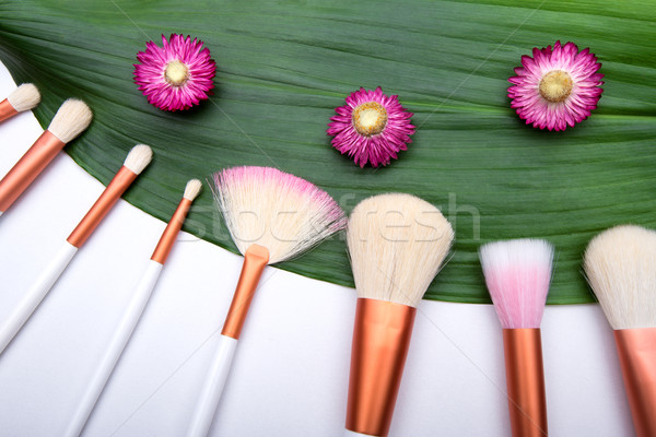 Stock photo: Makeup Brushes on green leaf with small flowers