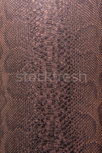 Bronze serpente padrão imitação abstrato projeto Foto stock © Geribody