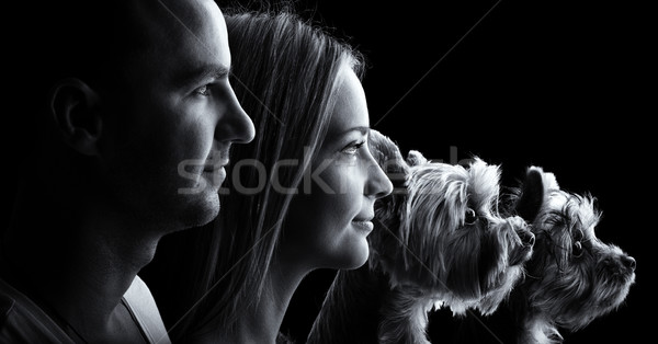 Loving couple and two yorkshire terrier dogs -Black and white profile portrait Stock photo © Geribody