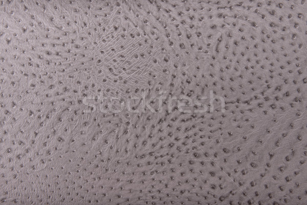 Luz cinza leopardo padrão imitação textura Foto stock © Geribody