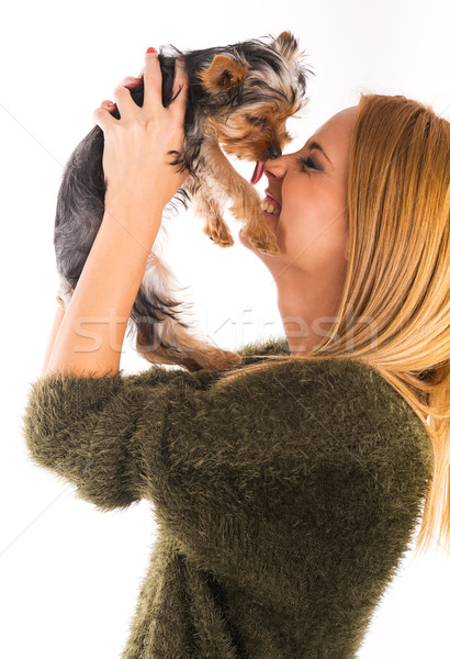 Beautiful woman's Yorkshire terrier dog gives kisses Stock photo © Geribody