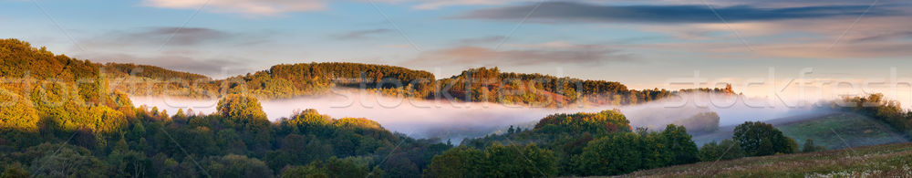 Eenzaam boom mooie zonsopgang zonsondergang landschap Stockfoto © Geribody