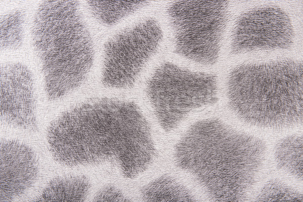 Girafa pele imitação cinza abstrato projeto Foto stock © Geribody