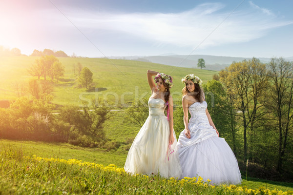 Belle mariée prairie tôt le matin nuages femmes Photo stock © Geribody