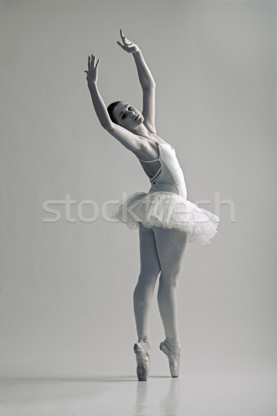 Portret ballerina ballet pose vrouwen dans Stockfoto © Geribody