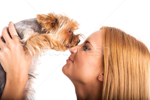 Beautiful woman's Yorkshire terrier dog gives kisses Stock photo © Geribody