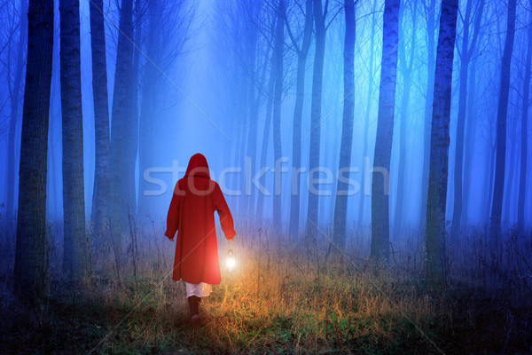 Little Red Riding Hood in the forest Stock photo © Geribody