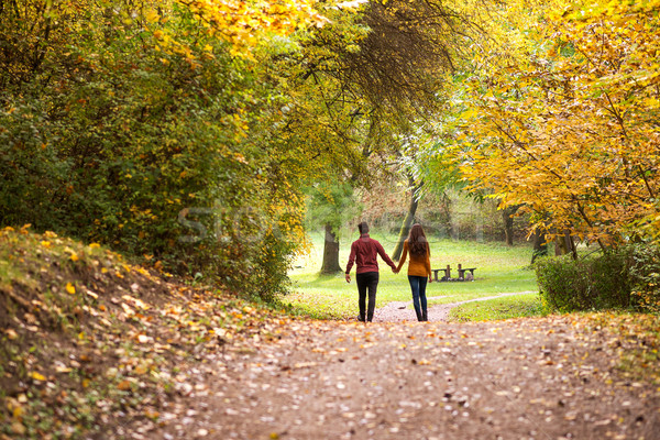 Young love couple, holding hands walking in the autumn forest Stock photo © Geribody