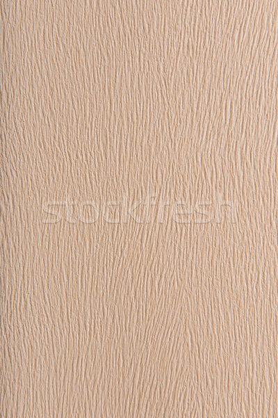 Grained beige background Stock photo © Geribody