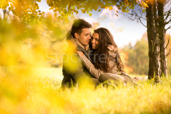 Leidenschaftlich Liebe Baum Herbst Park Himmel Stock foto © Geribody