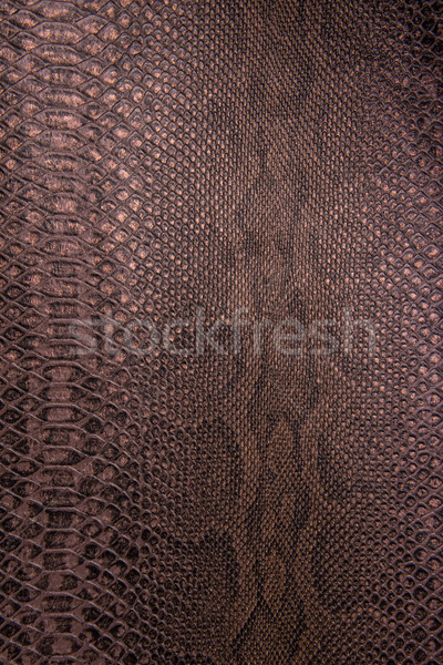 Bronzen slang patroon imitatie abstract ontwerp Stockfoto © Geribody