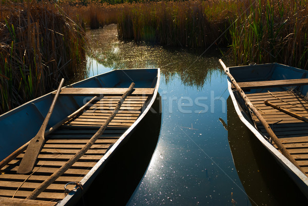 Boats are aligned on the shores of a lake Stock photo © Geribody