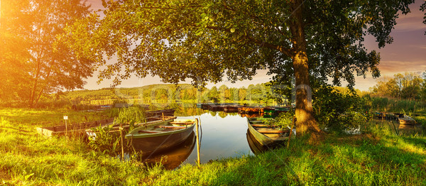 Сток-фото: деревья · лодках · порт · озеро · древесины · солнце