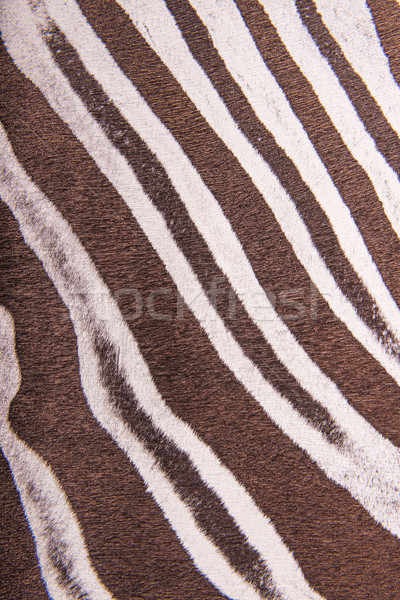 Kahverengi çizgili zebra kürk taklit doku Stok fotoğraf © Geribody
