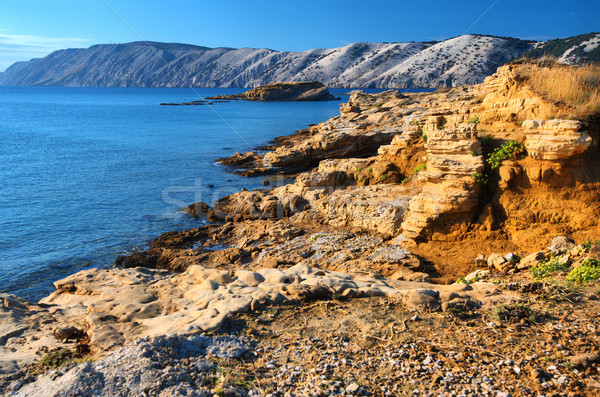 Beautiful Sea coastline landscape in Croatia Stock photo © Geribody