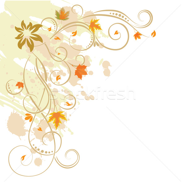 Kwiatowy elementy jesienią kwiat piękna sztuki Zdjęcia stock © Ghenadie