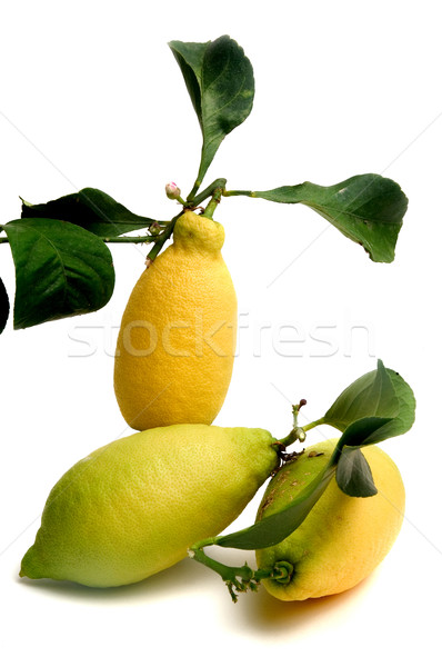 lemons organic Stock photo © Gilles_Paire