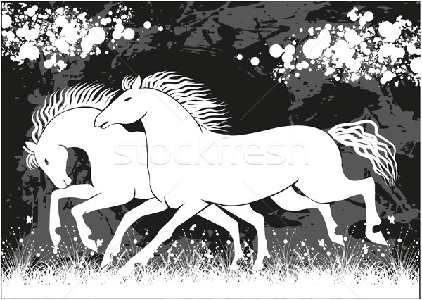 Vector running black and white horses Stock photo © gintaras