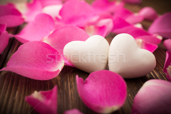Rose petals. Stock photo © gitusik