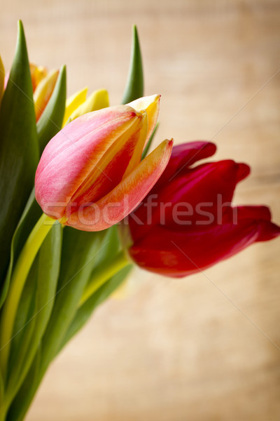 Tulipán tulipanes superficie estudio fotografía Foto stock © gitusik