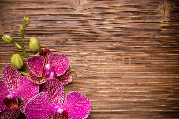Foto stock: Orquídea · rosa · flores · madeira · fundo