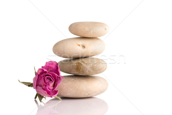 [[stock_photo]]: Spa · pierres · rose · sécher · rose · isolé