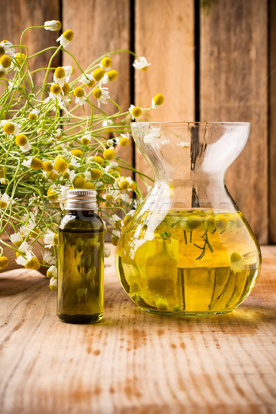 Stock photo: Chamomile.