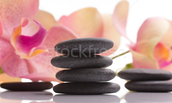 溫泉 石頭 粉紅色 蘭花 花 孤立 商業照片 © gitusik
