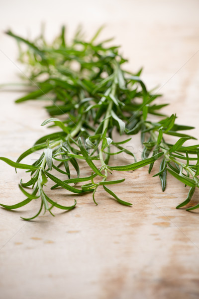 Stock photo: Rosemary.