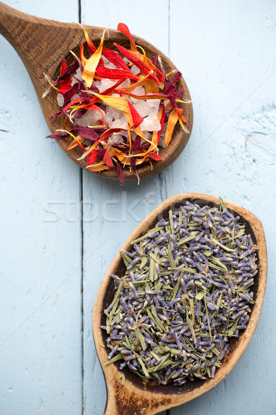 Homeopatik tıp kurutulmuş aromaterapi bitkiler bitkisel çaylar Stok fotoğraf © gitusik