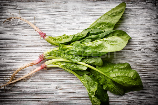 菠菜 根 木 葉 植物 蔬菜 商業照片 © gitusik