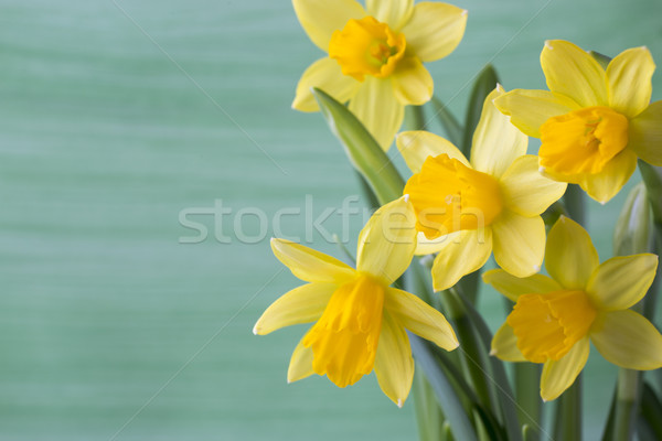 Foto stock: Narcisos · amarelo · páscoa · cartão · flor