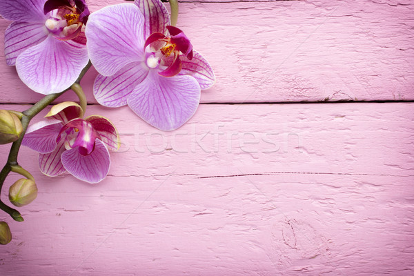 Orchidée fleur bois fond beauté spa [[stock_photo]] © gitusik