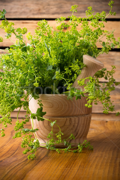Autre phytothérapie herbe homéopathiques médecine alimentaire [[stock_photo]] © gitusik