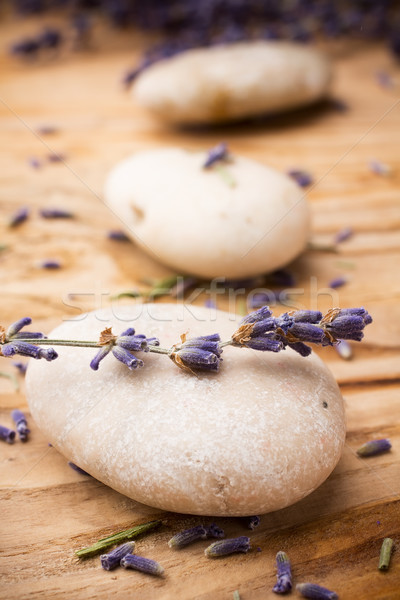 Stock foto: Lavendel · spa · Steine · getrocknet · Blumen · Blatt