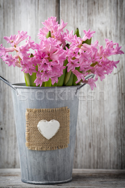 Hyazinthe rosa Vase Holztisch grünen Kopf Stock foto © gitusik
