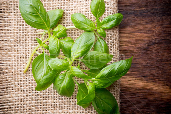 Foto stock: Manjericão · monte · fresco · aromático · tempero