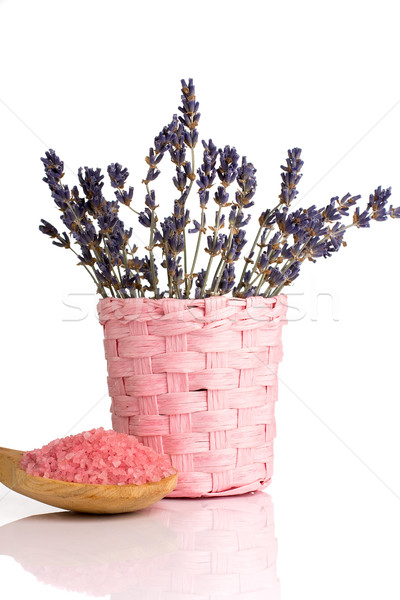Lavender. Stock photo © gitusik