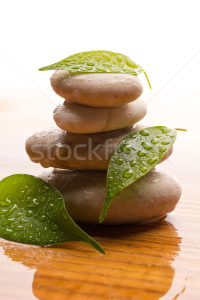 Foto stock: Estância · termal · pedras · massagem · folhas · verdes · gotas · de · água · madeira