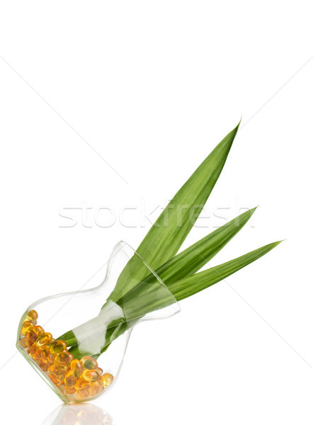 Untura de peste sticlă sticlă organic verde frunze peşte Imagine de stoc © gitusik