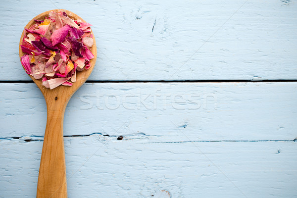 Homéopathiques médecine séché aromathérapie plantes tisane Photo stock © gitusik