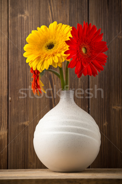 Gerbera. Stock photo © gitusik