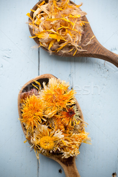 Homeopate medicină uscate aromaterapie plante ceai din plante Imagine de stoc © gitusik