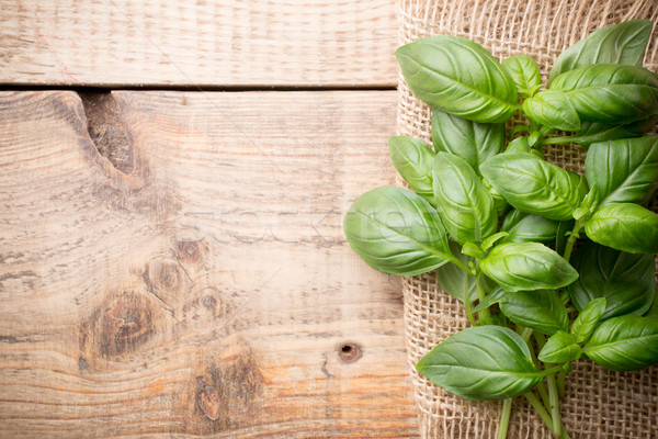 Foto stock: Manjericão · monte · fresco · aromático · tempero