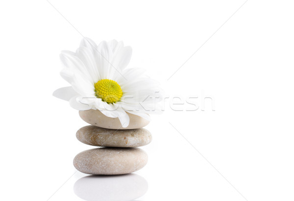 Stock photo: Spa stones.