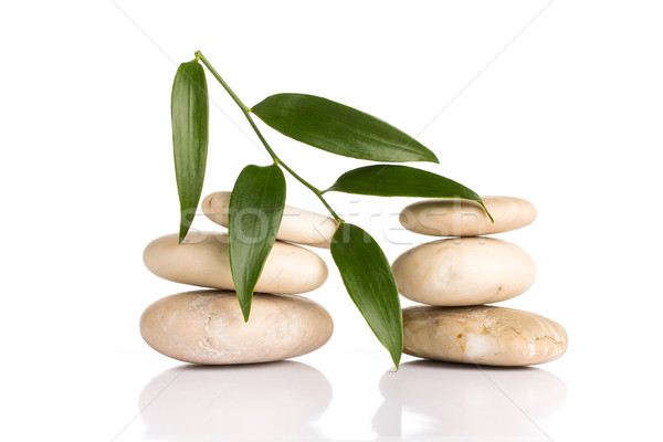 Spa kamienie zielony liść odizolowany biały streszczenie Zdjęcia stock © gitusik